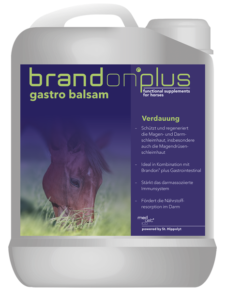 Brandon® plus gastro balsam